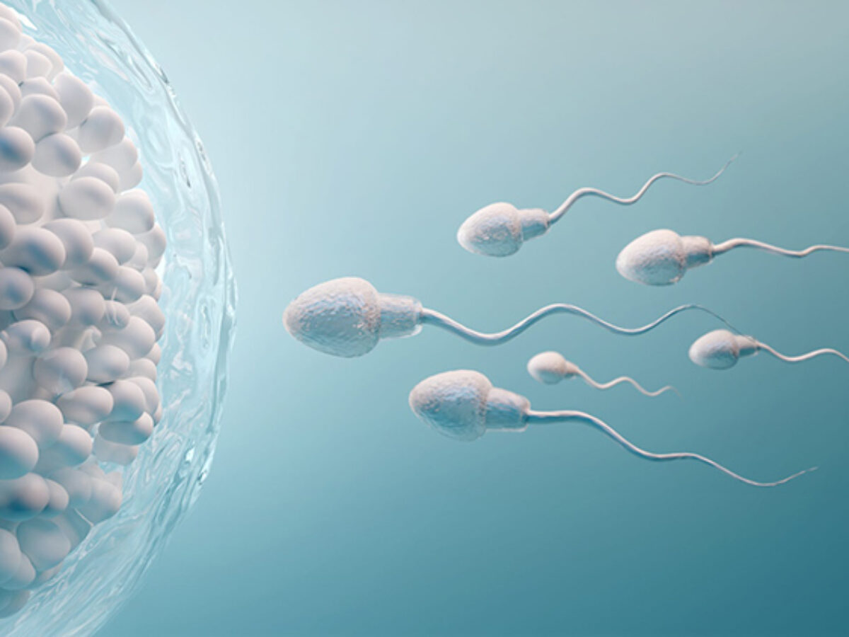 Xitoy onlayn porno videolar