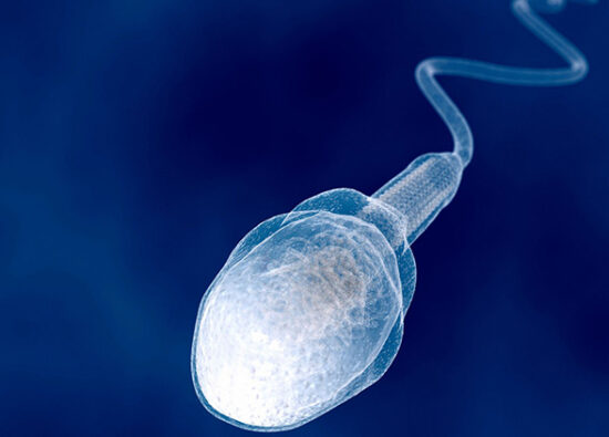 Sperm Kaç Gün Yaşar? - Novafertil