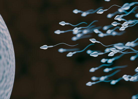 En İyi Sperm Ne Zaman Olur? - Nova Fertil