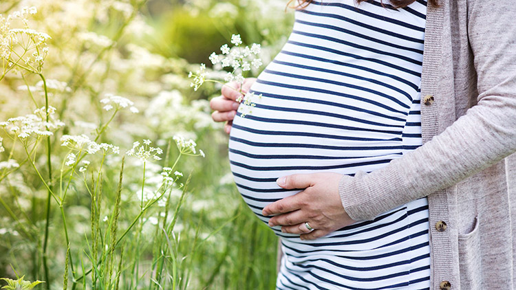 Hamile Kalmak İçin Yardımcı Üreme Teknikleri - Novafertil