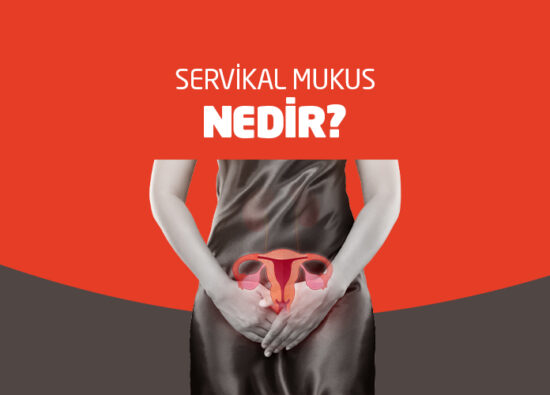 Servikal Mukus Nedir? - Nova Fertil