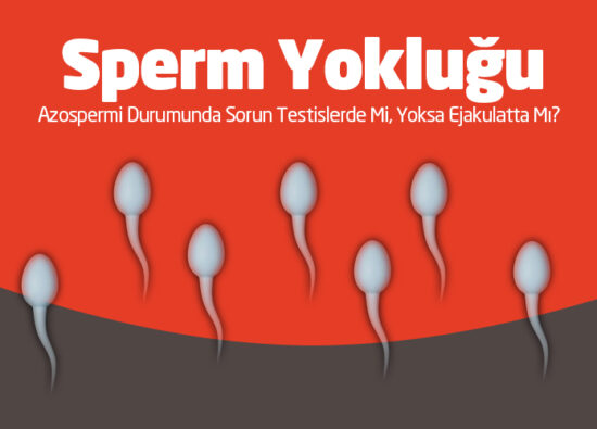 Sperm Yokluğu: Azospermi Durumunda Sorun Testislerde Mi, Yoksa Ejakulatta Mı? - Novafertil