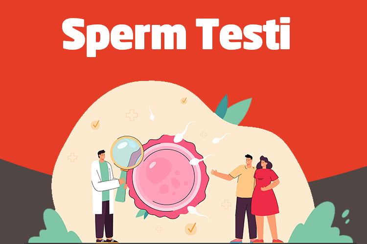 Sperm Testi - Novafertil