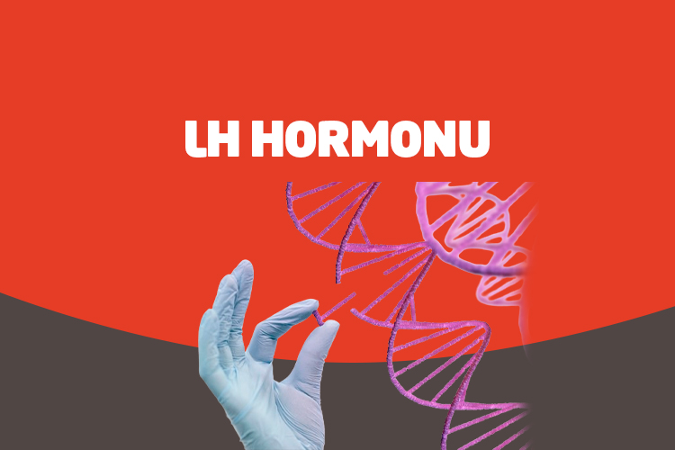 LH Hormonu - Nova Fertil
