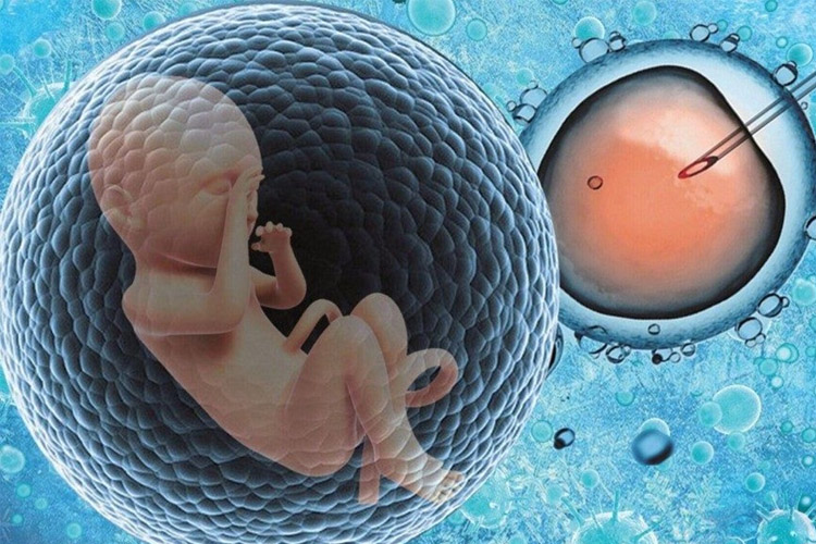 Tüp Bebek (IVF) Tedavisinde Başarı Hangi Faktörlere Bağlıdır? - Novafertil